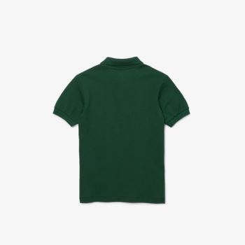 Lacoste Petit Piqué Polo - Polo Dětské Zelene | CZ-KgyAS4